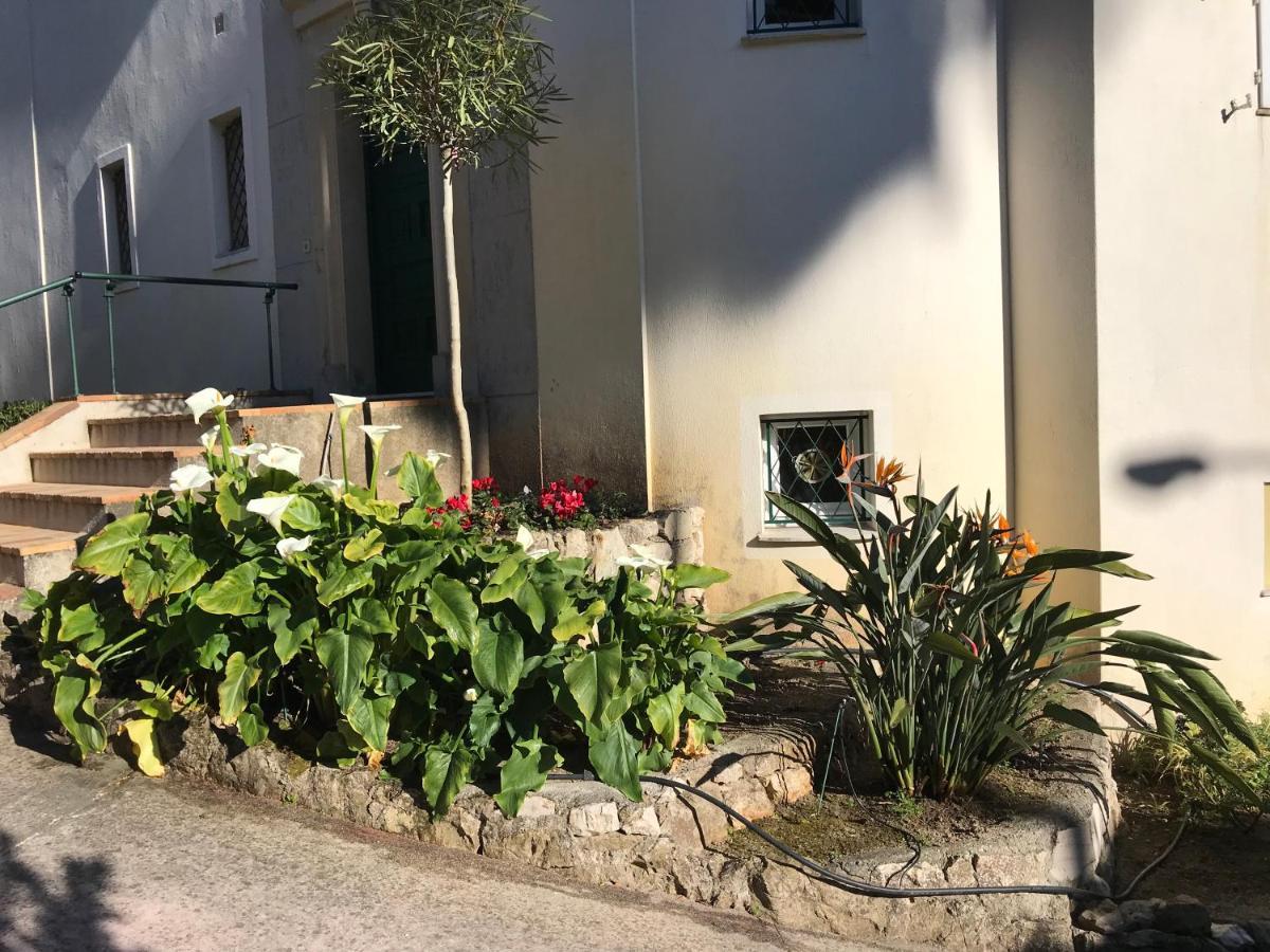 "L'Olivadou" St Jean Cap Ferrat Daire Saint-Jean-Cap-Ferrat Dış mekan fotoğraf