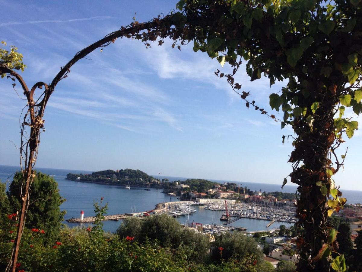 "L'Olivadou" St Jean Cap Ferrat Daire Saint-Jean-Cap-Ferrat Dış mekan fotoğraf