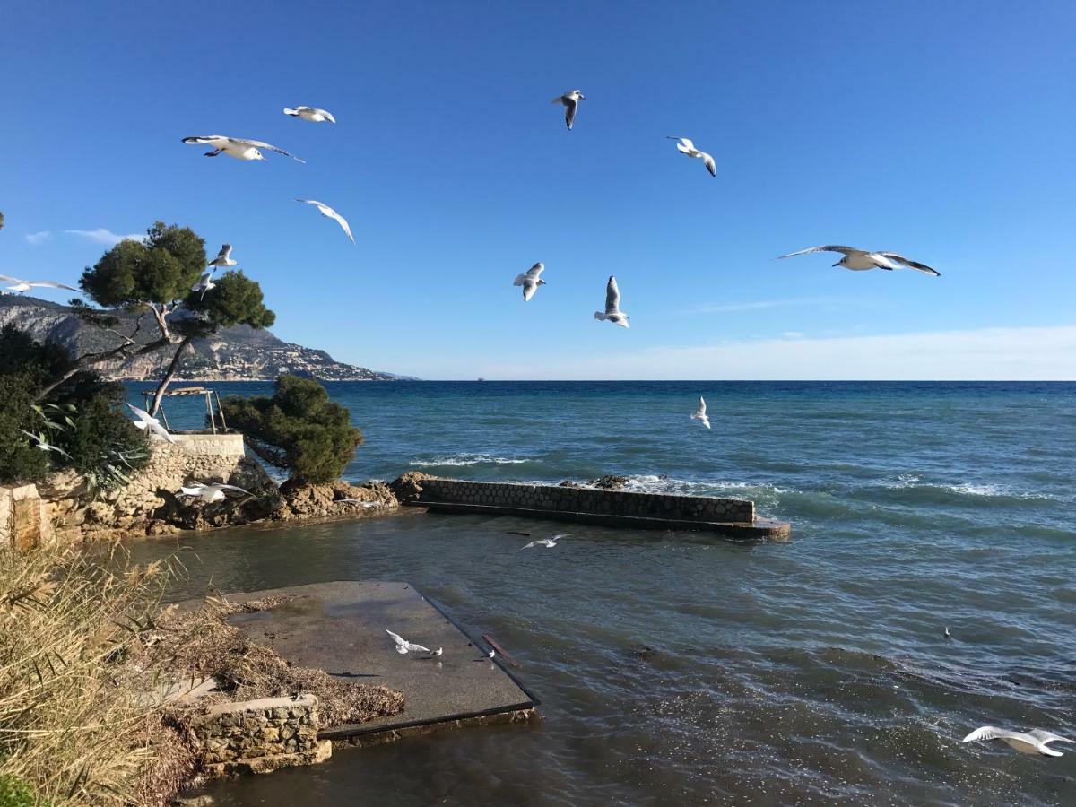 "L'Olivadou" St Jean Cap Ferrat Daire Saint-Jean-Cap-Ferrat Dış mekan fotoğraf